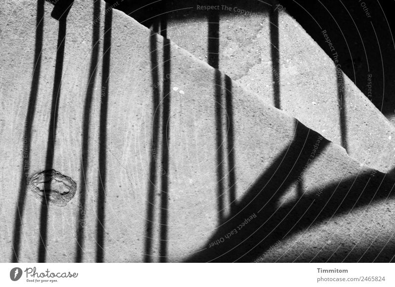 Stony but worth it. Stone Concrete Esthetic Dark Black Stairs Handrail Shadow Steep Narrow Black & white photo Exterior shot Deserted Day Light Contrast