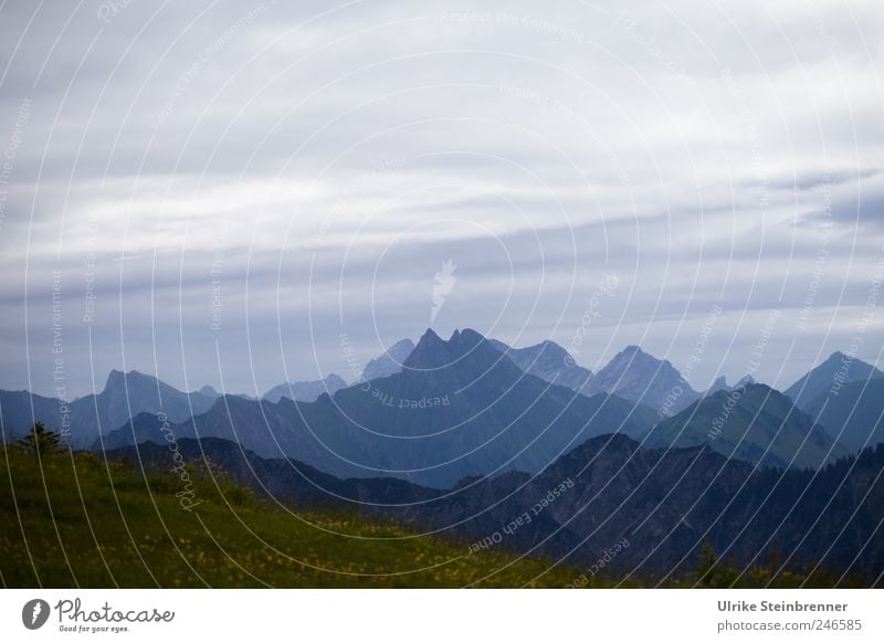 zigzag Nature Landscape Sky Clouds Summer Bad weather Grass Hill Rock Alps Mountain Allgäu Alps Bavaria fellhorn Peak Stand Dark Gigantic Infinity Tall Natural