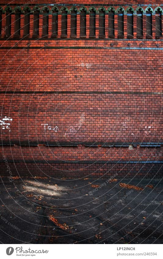 Salt City Wall Luneburg Germany Europe Small Town Old town Deserted House (Residential Structure) Church Manmade structures Building Wall (barrier)