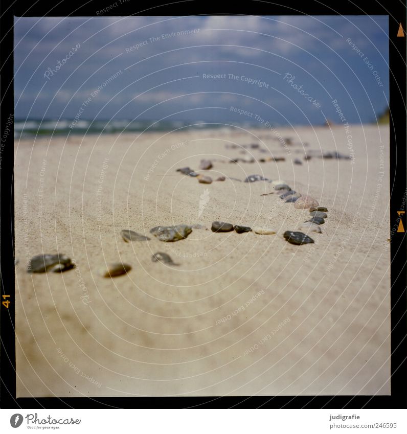 Baltic Environment Nature Landscape Sand Coast Beach Baltic Sea Stone Natural Line Wiggly line Colour photo Exterior shot