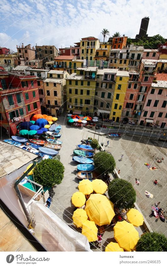 la piazza di vernazza Vacation & Travel Tourism Ocean Living or residing Summer Vernazza Cinque Terre Italy Village Fishing village Downtown