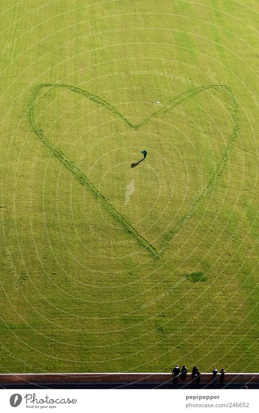 recognition after love Valentine's Day Mother's Day Football pitch Human being Masculine Man Adults 1 5 Artist Summer Grass Meadow Wall (barrier)