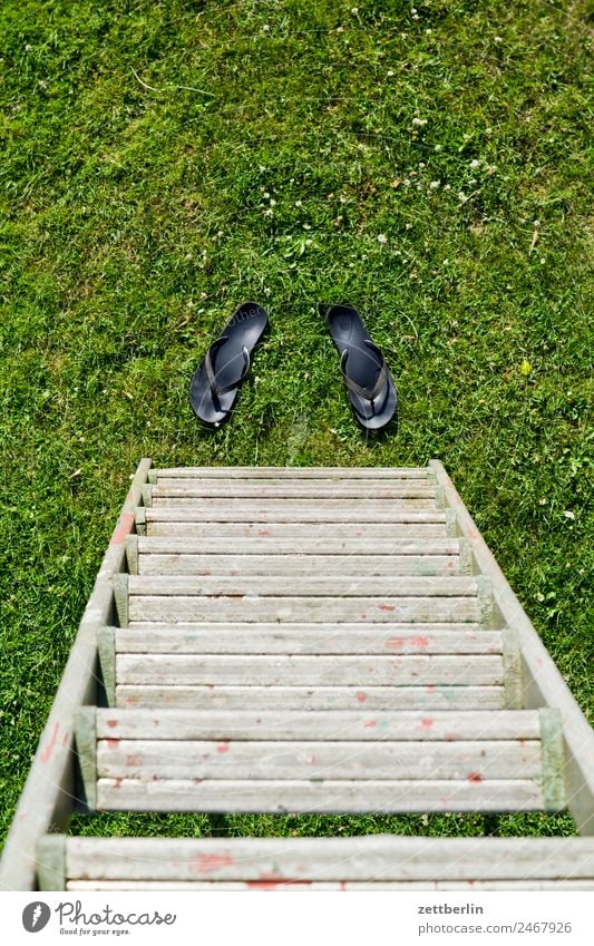 Flipflops on the ladder Occupational health and safety Garden Grass folding ladder Garden plot Garden allotments Deserted Nature Lawn Summer Stand Steep