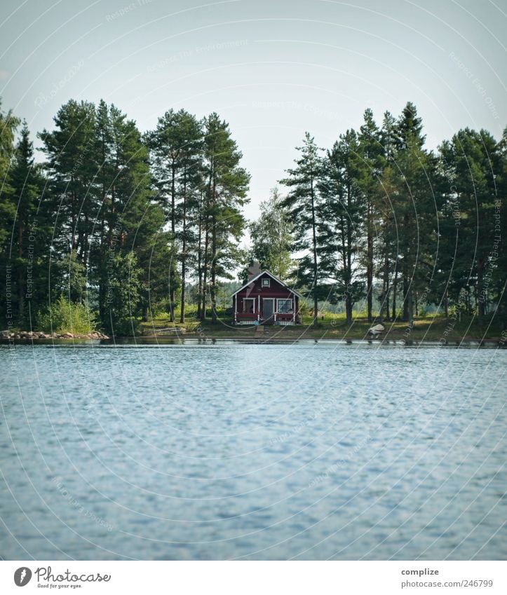 Möcki Relaxation Calm Sauna Swimming & Bathing Sailing Environment Nature Water Cloudless sky Summer Beautiful weather Forest Coast Bay Baltic Sea Lake