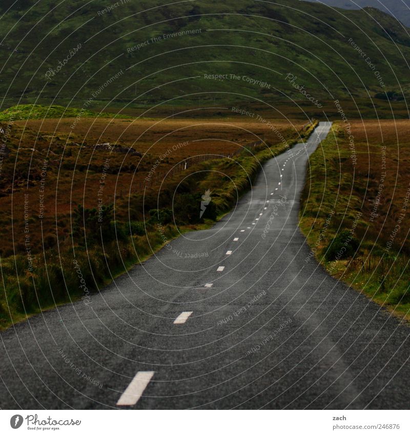 drive left Trip Far-off places Freedom Mountain Environment Nature Landscape Plant Grass Hill twelve pins maumturk mountains Island Northern Ireland Bog Marsh