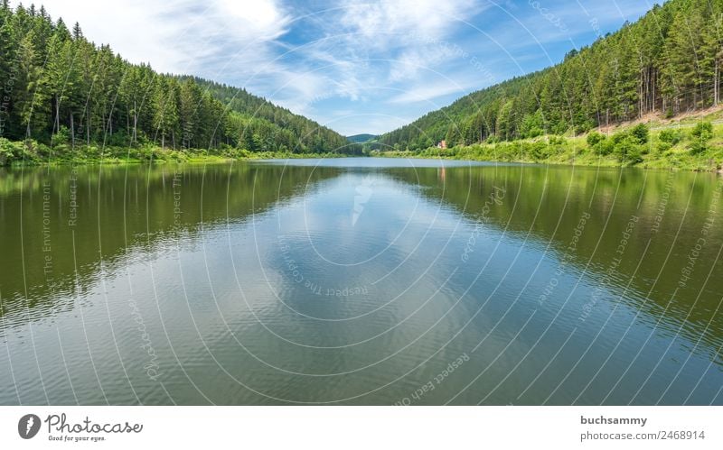 Dam in the Black Forest Vacation & Travel Tourism Trip Hiking Energy industry Renewable energy Hydroelectric  power plant Energy crisis Environment Nature