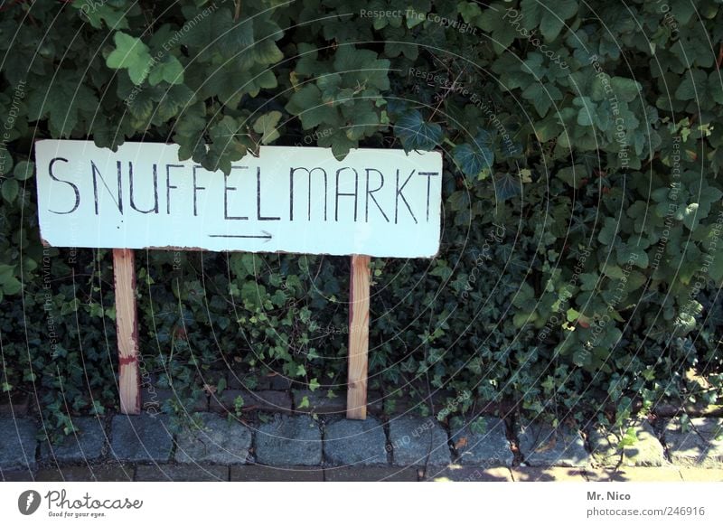 without words Plant Bushes Leaf Exotic Markets Roadside Signs and labeling Signage Netherlands Tourism Typography Flea market Exterior shot Ivy Wooden sign