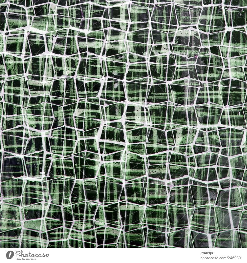 net Style Design Wall (barrier) Wall (building) Sign Line Network Exceptional Many Crazy Green Chaos Uniqueness Connect Connection Mosaic Colour photo Close-up