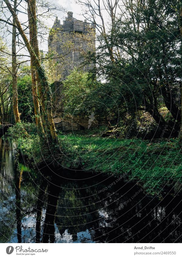 Aughnanure Castle - Ireland Vacation & Travel Tourism Trip Adventure Sightseeing Landscape Water Spring Summer Beautiful weather Tree Bushes Wild plant Park