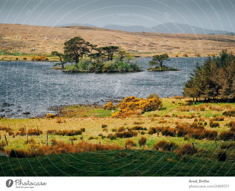 Lough Bofin - Galway Vacation & Travel Tourism Trip Adventure Far-off places Sightseeing Summer Summer vacation Island Waves Nature Landscape Sky Spring