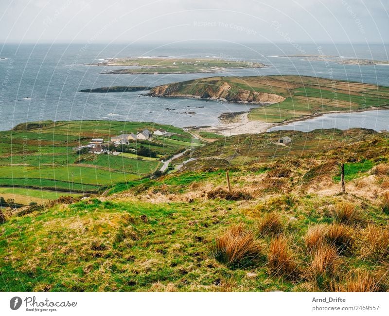 Ireland - Sky Road Nature Landscape Plant Air Water Spring Summer Beautiful weather Bushes Meadow Field Hill Waves Coast Bay Fjord Ocean Atlantic Ocean Village