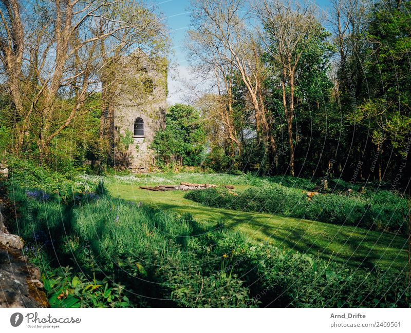 Ireland - Renville Castle Vacation & Travel Tourism Trip Far-off places Sightseeing Summer Summer vacation Nature Landscape Spring Beautiful weather Tree Grass