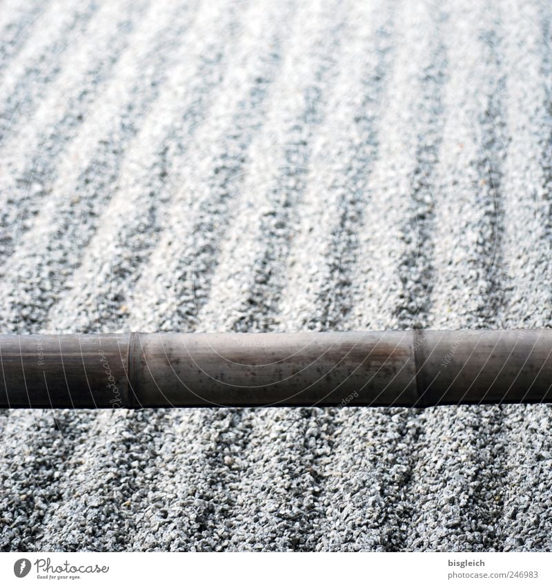 Zen garden Garden Stone Gray Caution Serene Calm Esthetic Contentment Buddhism Bamboo Bamboo stick Colour photo Subdued colour Exterior shot Deserted