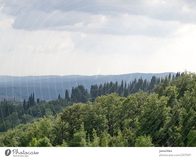 Landscape #7665 Environment Nature Clouds Storm clouds Climate Beautiful weather Bad weather Tree Forest Hill Green Vacation & Travel Mediterranean Stone pine