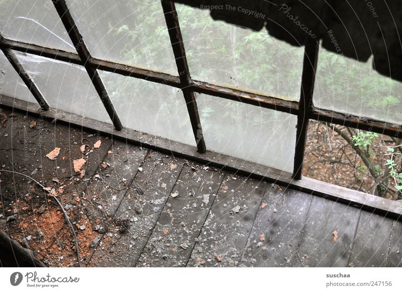 lost place II Ruin Building Window Wood Glass Old Dirty Dark Hideous Broken Chaos Decline Past Transience Change Destruction Wooden floor outlook Uninhabited