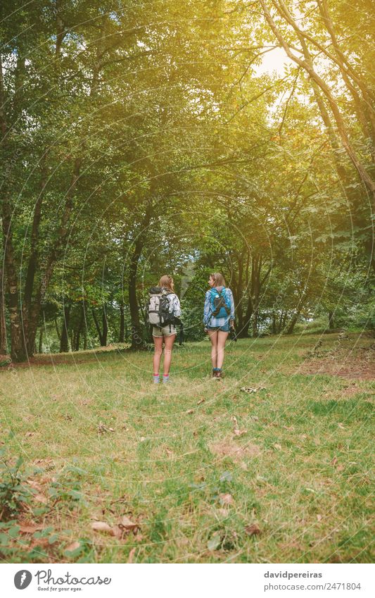 Two women friends with backpacks standing in forest Lifestyle Joy Happy Leisure and hobbies Vacation & Travel Trip Adventure Camping Summer Mountain Hiking