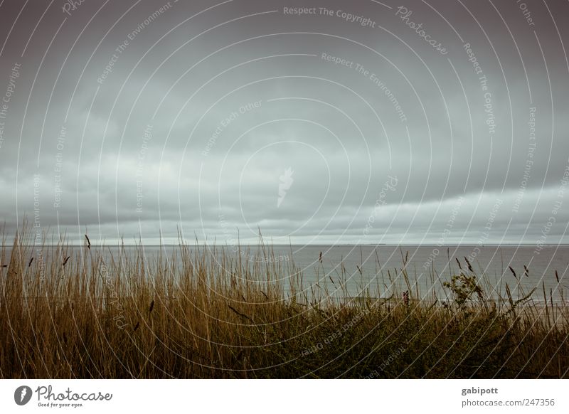 Weather in Brittany Vacation & Travel Tourism Summer Beach Ocean Landscape Sky Clouds Coast Atlantic Ocean Dark Far-off places Blue Brown Loneliness