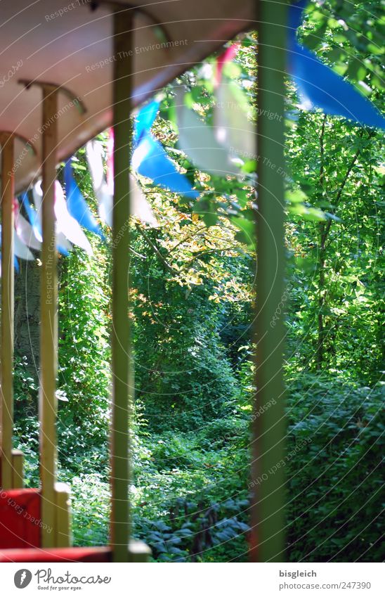 beautifully ailing II Amusement Park Rail vehicle Flag Driving Dream Old Multicoloured Green Forest Summer Colour photo Exterior shot Deserted Day