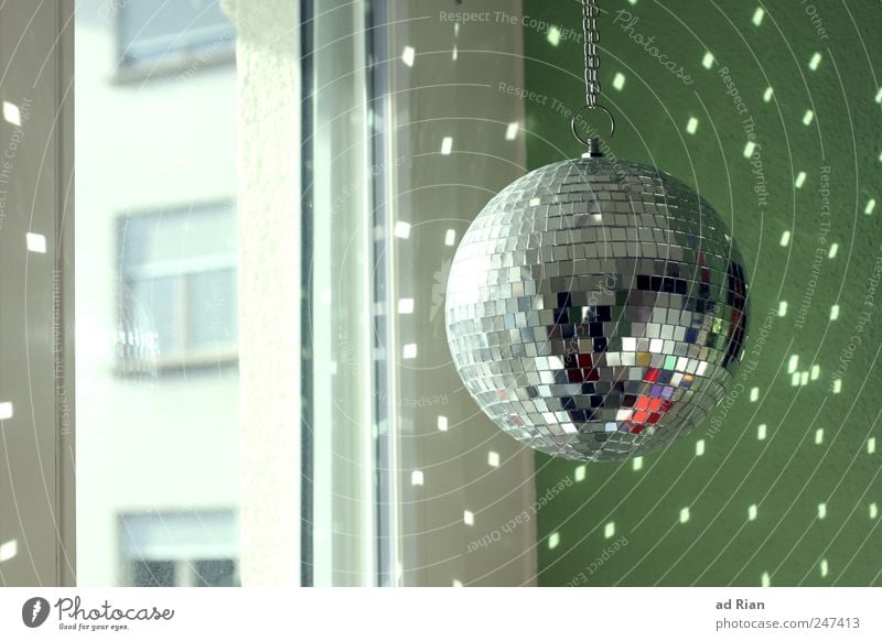 kitchen disco Design Decoration Window Night life Party Club Disco Disco ball Happiness Glittering Colour photo Interior shot Day Light Reflection Sunlight