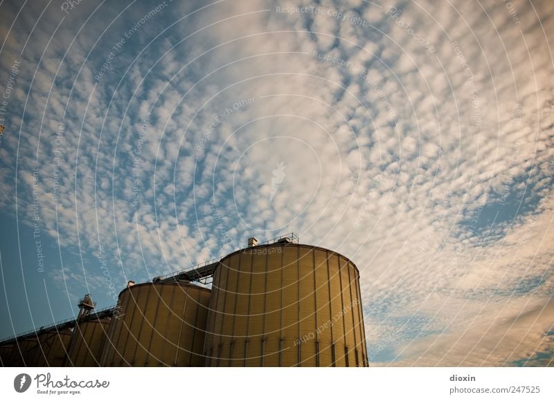 silos Sky Clouds Mannheim Germany Outskirts Deserted Industrial plant Harbour Manmade structures Silo Grain silo Barn Metal Gigantic Large Tall Blue Yellow