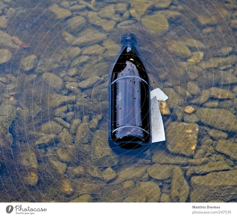 bottle Beverage Beer Bottle Environment Environmental pollution Bottle of beer Glass Shackled Colour photo Exterior shot Deserted Copy Space left