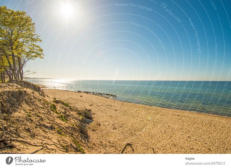 Beach at the Polish Baltic Sea coast Nature Tourism Poland one Deserted Natural trees dunes Sandy beach Sky Blue Sun Back-light vacation Vacation & Travel