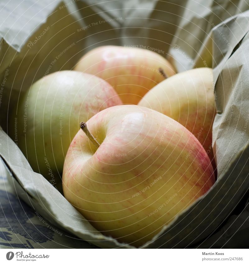 apples Food Fruit Apple Nutrition Organic produce Vegetarian diet Healthy Delicious Natural Round Sour Sweet Colour photo Interior shot Close-up Deserted