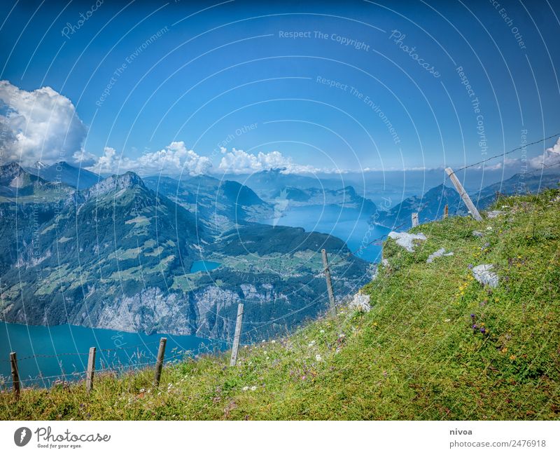 View from Stoos to Lake Lucerne Trip Adventure Far-off places Freedom Summer Mountain Hiking Environment Nature Landscape Plant Animal Elements Sky Clouds