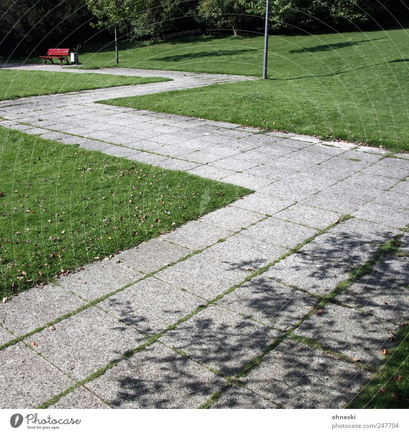 seating Sunlight Beautiful weather Park Meadow Deserted Lanes & trails Seating Bench Green Red Loneliness Calm Zigzag Tree Colour photo Exterior shot