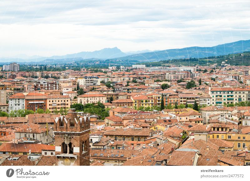 View of the roofs of Verona from Torre dei Lamberti Vacation & Travel Tourism Forest Alps Mountain Lake Lake Garda Italy Europe Town Old town