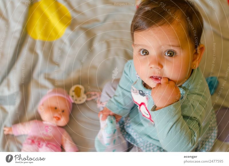 Portrait of a beautiful baby Lifestyle Elegant Beautiful Face Child Human being Feminine Baby Girl Infancy 1 0 - 12 months Doll Looking Friendliness Happy