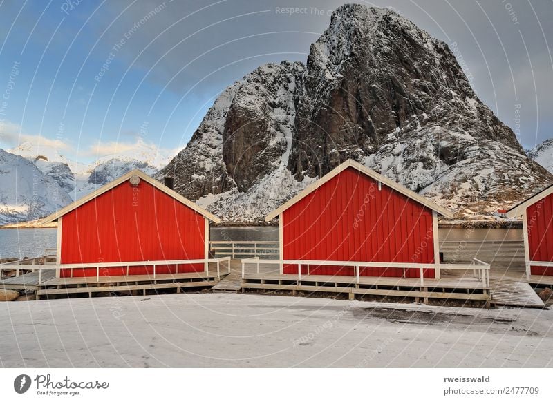 Rorbuer cottages-Festhaeltinden mt. Hamnoy-Lofoten-Norway-0228 Fish Seafood Calm Leisure and hobbies Fishing (Angle) Vacation & Travel Tourism Trip Adventure