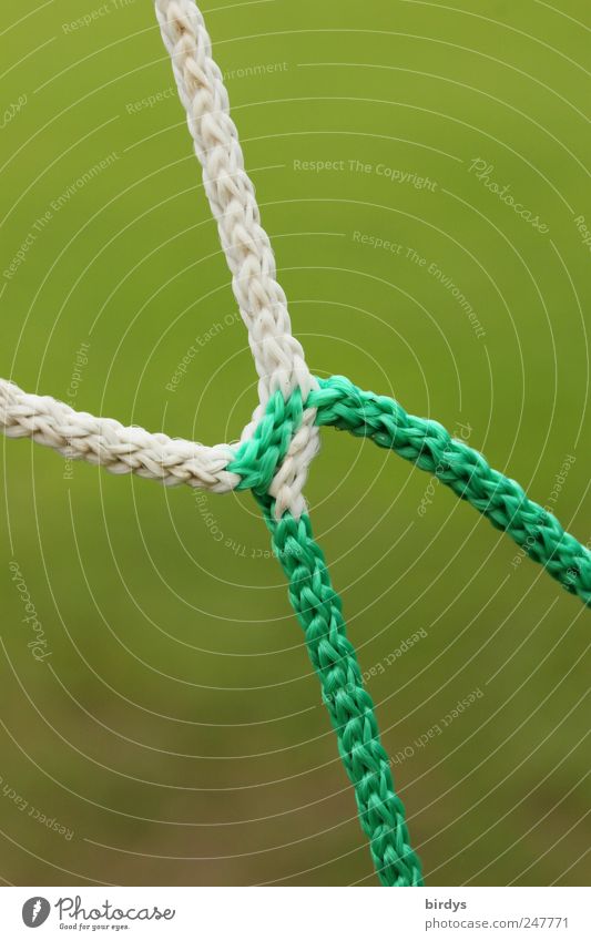 Linking of a soccer goal net,detailview Ball sports Football pitch Goal net Net Soccer Goal Green White link spliced Rope bicoloured Connectedness Splice