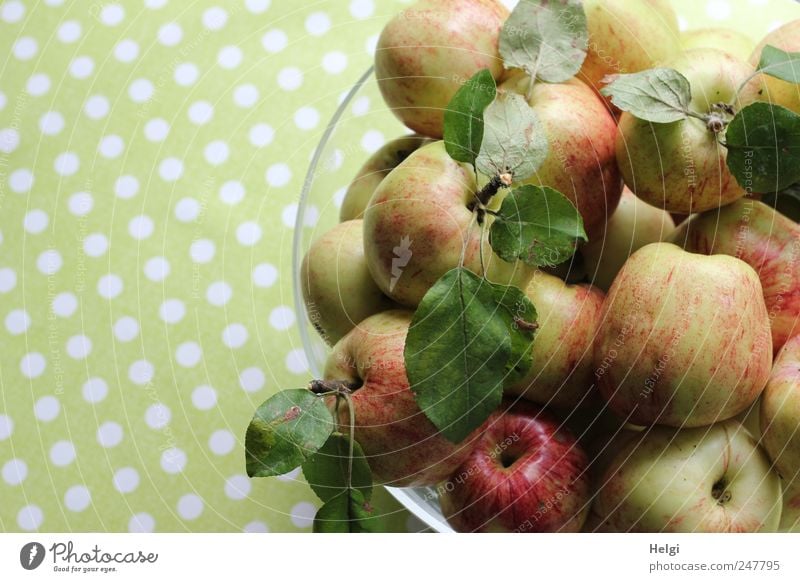 freshly harvested apples with leaves in a glass bowl against a green background with white dots Food Fruit Apple Nutrition Organic produce Vegetarian diet Bowl