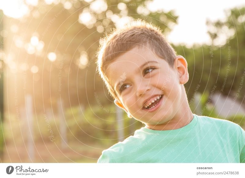 Closeup portrait of adorable sweet child on summer field Lifestyle Joy Happy Beautiful Face Summer Sun Garden Child Human being Toddler Boy (child) Nature Grass