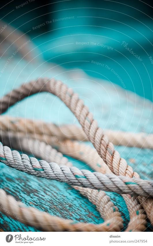 Rope team *3* Navigation Fishing boat On board Deck Old Lie Authentic Colour Decline Transience Attachment Connection String Spar varnish Flake off Colour photo