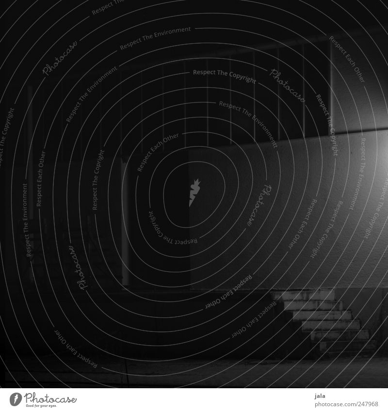 At night the rats sleep after all. House (Residential Structure) Industrial plant Factory Manmade structures Building Wall (barrier) Wall (building) Stairs