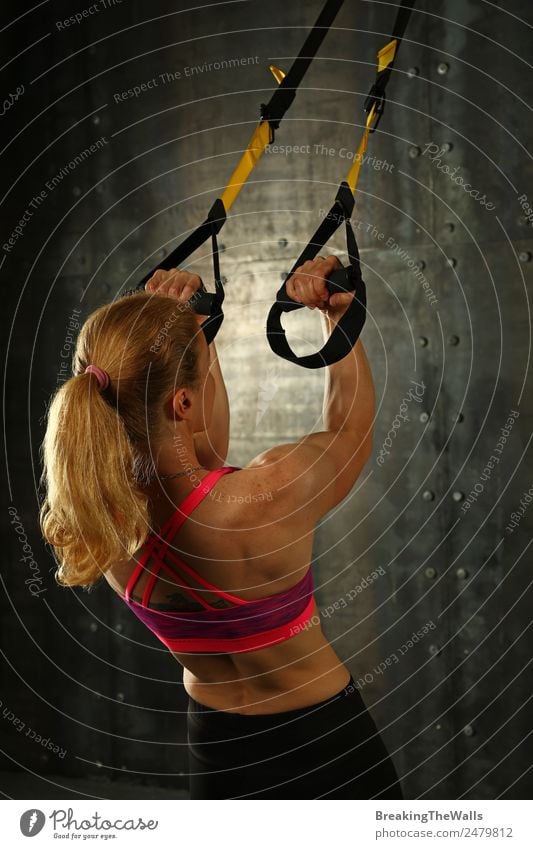 Rear view portrait of one young middle age athletic woman at crossfit training, exercising with trx suspension fitness straps over dark background Lifestyle