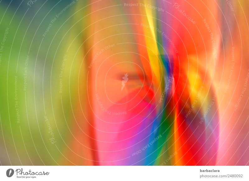 Speed | Wind turbine Garden Decoration Pinwheel Rotate Multicoloured Joy Movement Colour Colour photo Exterior shot Detail Experimental Abstract Pattern