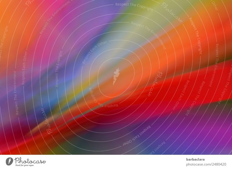 A cauldron of colours Playing Living or residing Decoration Pinwheel Stripe Movement Speed Multicoloured Moody Colour Creativity Art Senses Change Colour photo