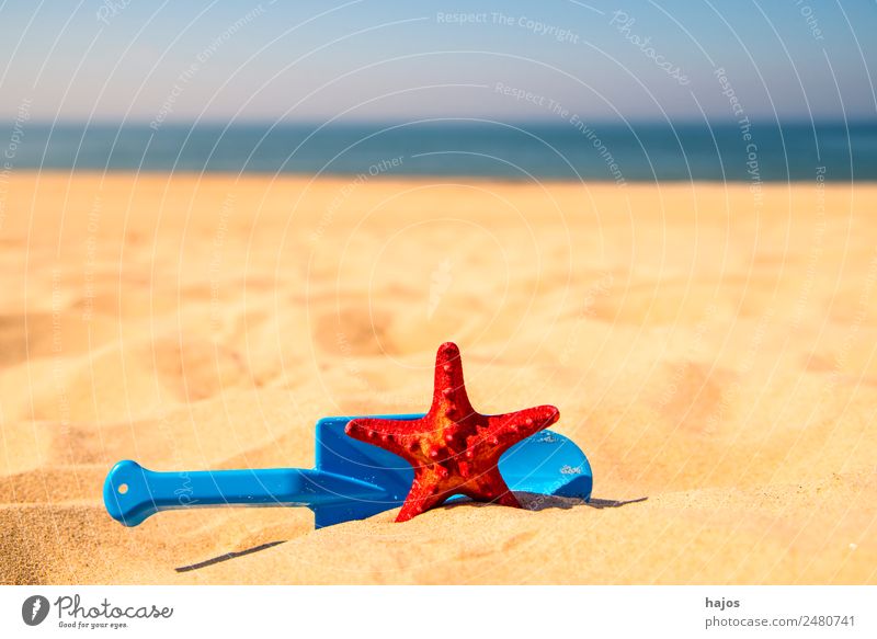 Toy shovel with starfish on a beach Joy Relaxation Vacation & Travel Summer Beach Child Sand Baltic Sea Animal 1 Blue Yellow Red Tourism Sandy beach Ocean