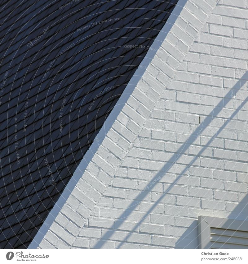 B/W Deserted House (Residential Structure) Detached house Dream house Wall (barrier) Wall (building) Facade Window Roof Eaves Black White Brick Diagonal Shadow