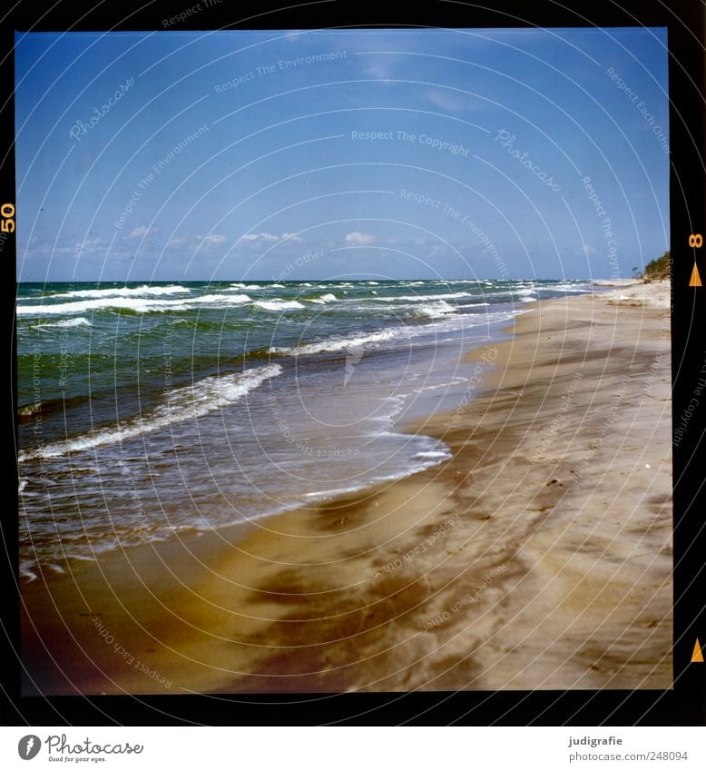 western beach Environment Nature Landscape Sand Water Sky Climate Cold Wild Waves White crest Baltic Sea Darss Western Beach Colour photo Exterior shot Deserted