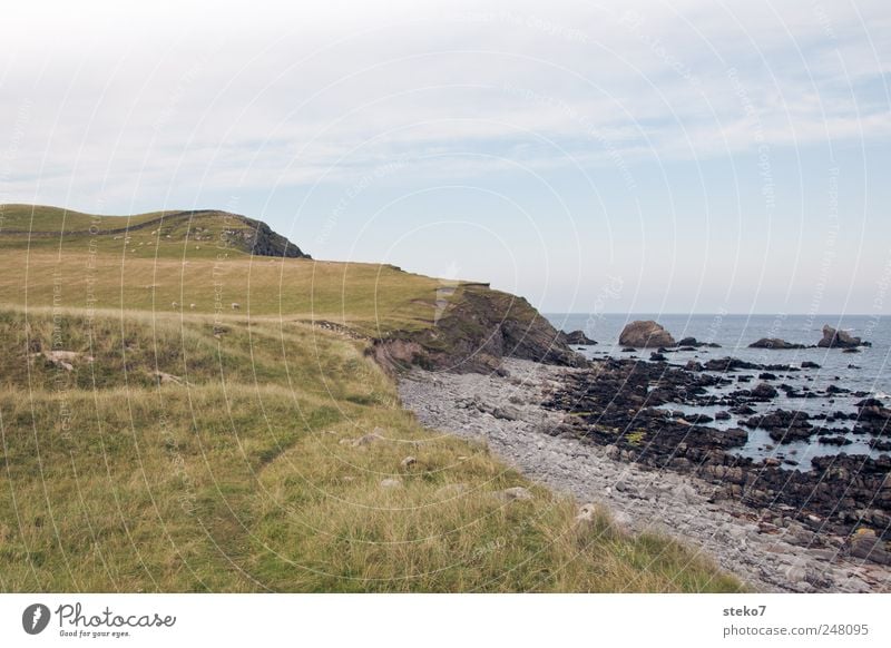 Scottish bathing landscape Summer Beautiful weather Meadow Hill Coast Beach Bay Ocean Blue Green Scotland Rock Colour photo Exterior shot Deserted