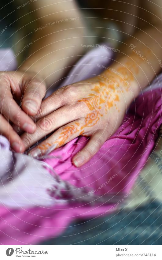 henna Beautiful Skin Hand Fingers Cloth Exotic Red Tattoo Henna painting Colour photo Multicoloured Close-up Pattern Shallow depth of field