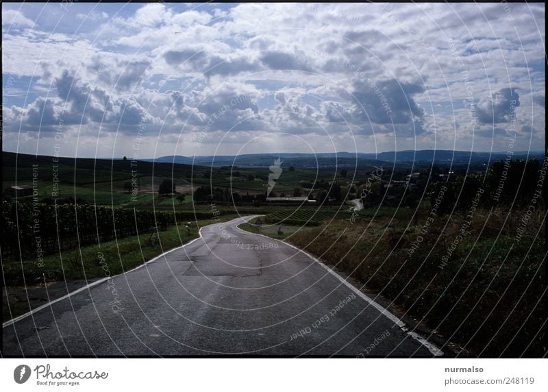 where this road leads to Leisure and hobbies Vacation & Travel Tourism Far-off places Freedom Art Nature Landscape Plant Animal Clouds Horizon Climate