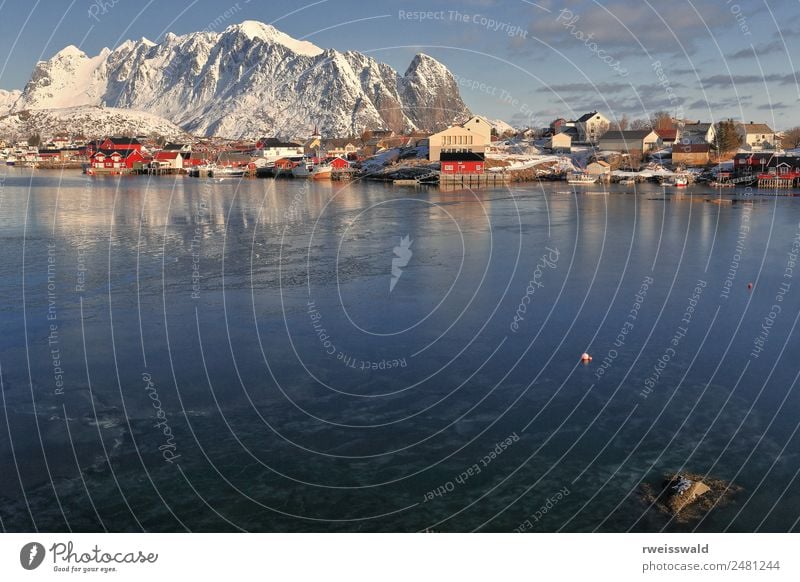 Reinevagen gulf-mts.over Reinefjorden. Reine-Lofoten-Norway.0280 Fish Seafood Relaxation Calm Winter Snow Hiking Sailing Skiing Snowboard Architecture