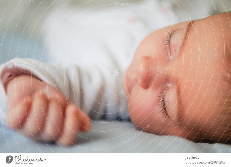 Newborn baby girl sleeping on blue sheets at home Happy Beautiful Face Life Child Human being Baby Girl Woman Adults Infancy 1 0 - 12 months Sleep Small Cute