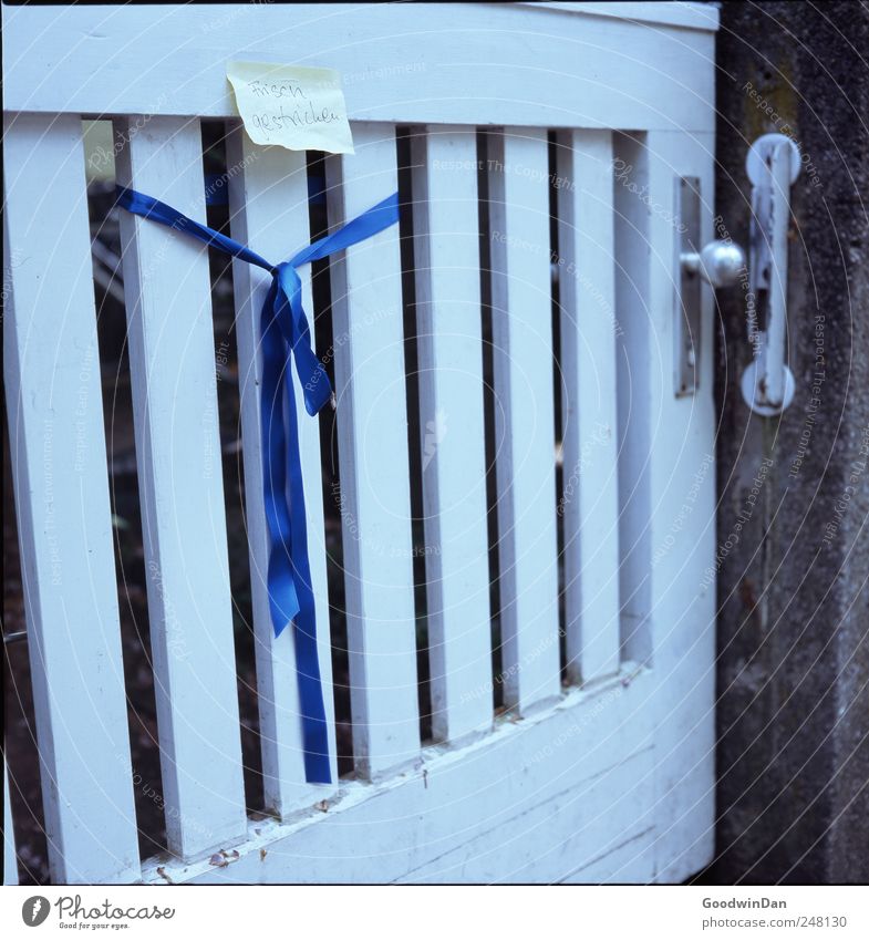 Freshly painted. Garden door Bow String Cloth Piece of paper Stone Old Dirty Authentic Sharp-edged Colour photo Exterior shot Deserted Day Light