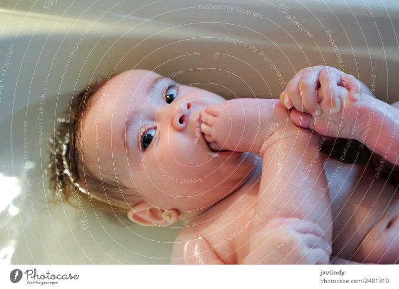 Baby girl four months old having her bath Happy Beautiful Face Life Bathtub Bathroom Child Human being Girl Infancy 1 0 - 12 months Sleep Happiness Small Cute